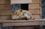 009_2009-0214-1423-35A.jpg